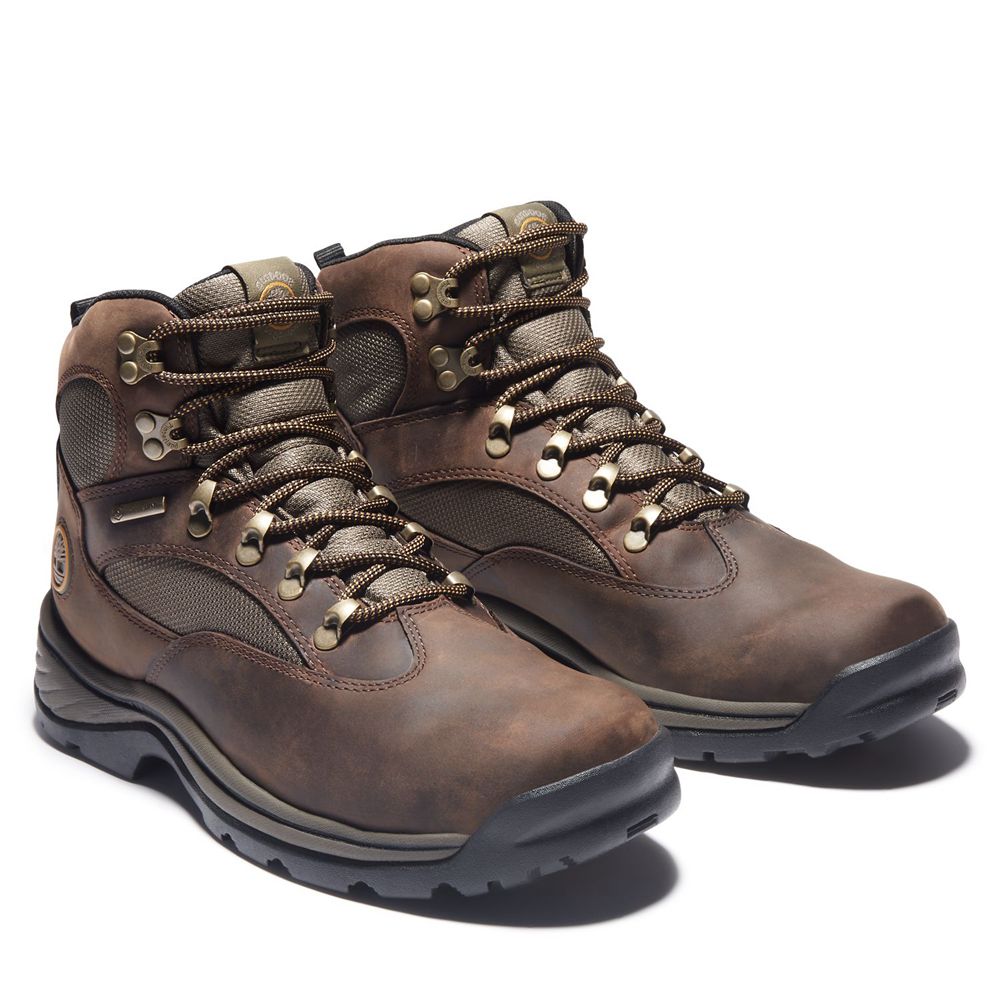 Timberland Mens Hiking Boots Chocorua Trail Mid Waterproof - Brown - India SD4905368